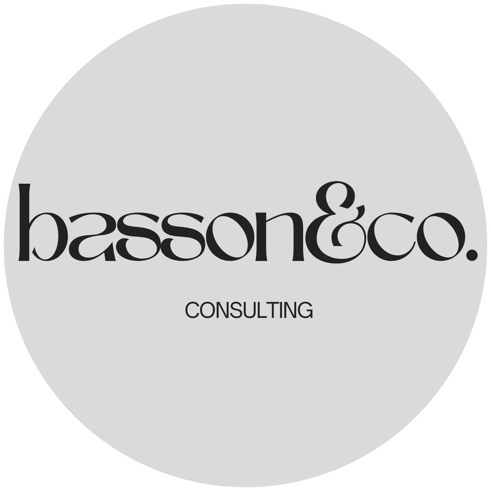 Basson & Co. Consulting